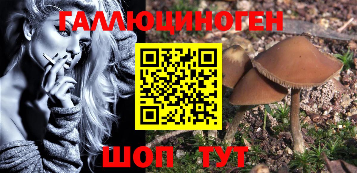 Галлюциногенные грибы ЛСД  Псилоцибиновые грибы MAGIC MUSHROOMS  Вход с VPN  Кимовск 