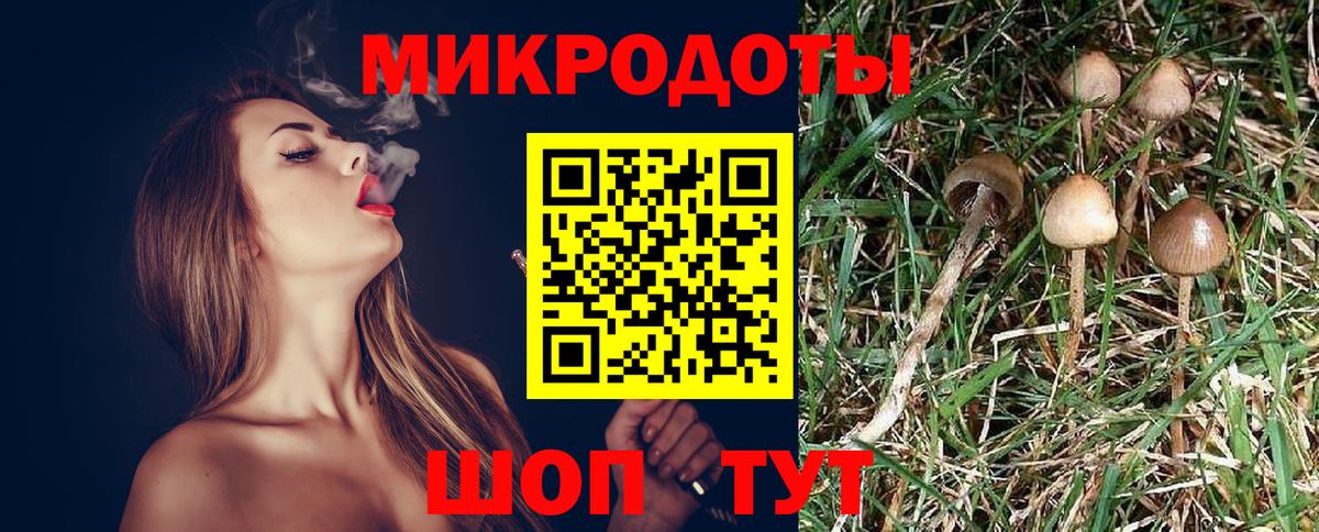 Псилоцибиновые грибы ЛСД Кимовск